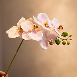 Ветка орхидеи, IST-039, 45 см, розовый - изображение 1